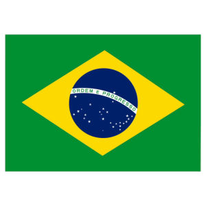brasil,flags,banderas,bandera,flag,latina,brazil,latino,hispanic,latinos,latinas,hispanics,countach