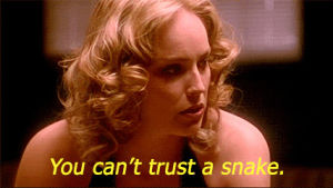 sharon stone,distrust,wtf,snake,casino,pissed,gifscapade,you cant trust a snake