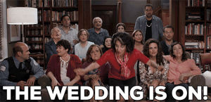 fun,wedding,laugh,family,greek,marry,my big fat greek wedding,aunt voula
