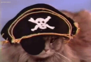 90s,cats,pirates,pirate cat,some litter box commercial