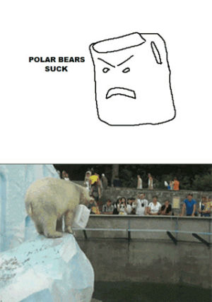 polar bears,jugs