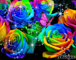 rainbow,roses,picture