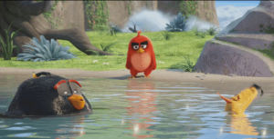 angrybirds,angry birds,2016,trailer,angry birds movie,the angry birds movie,sony pictures,official trailer,sony,angry,birds
