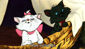 romantic,cat,disney