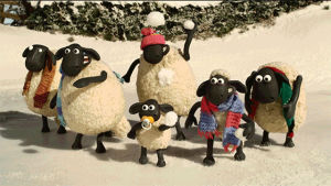 christmas,xmas,sheep,snowball fight,animation,shaun the sheep,snowball,fun,stop motion,cold,aardman,chilly,shaunthesheep