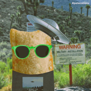 area 51,ufos,pizza,aliens,woah,i want to believe,alien abduction,totinos,pizza roll