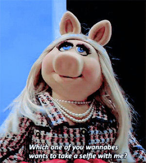 miss piggy,disneyedit,selfie,the muppets,denise the pig,ohyeahouterspace