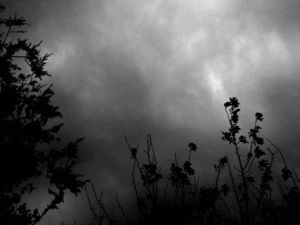 dark,black and white,nature,bw,storm,clouds,own