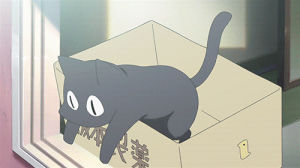 cat,neko,black cat,anime cat,cat in a box,anime,kitty,kitten,cute cat,cats always land on their feet,cats of anime