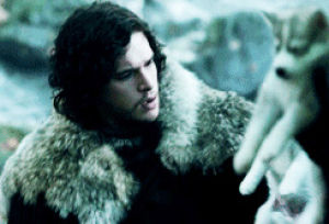 jon snow,game of thrones,ghost,song of ice and fire
