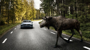 volvo,safety,moose,animal,cars,gadgets,automotive,detection,tbgifguide