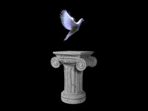 dove,greek,bird,column,pillar,pedestal,flying