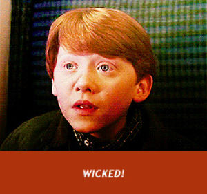 harry potter,tv,ron weasley,wicked,approval