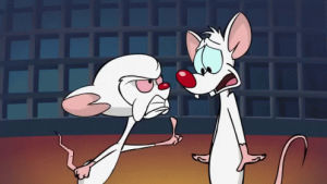 pinky and the brain,pinky brain,angry,pointing