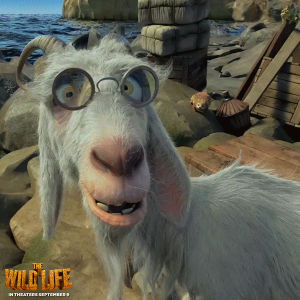goat,huh,blinking,double take,the wild life,thewildlife,scrubby,blink blink