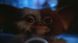 gizmo,mogwai,gremlins,movies,80s,classic,monsters,80s movies
