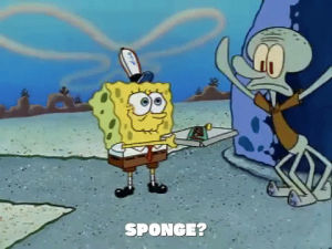 spongebob squarepants,season 1,episode 5