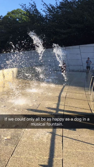fountain,dog