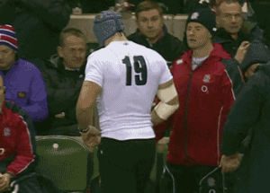 19,rugby,sports,bbc,england,six nations,james haskell,boxing