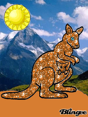 picture,kangaroo