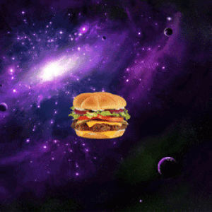 cheeseburger,space,sloth,winning,winner,hamburger,sloth in space