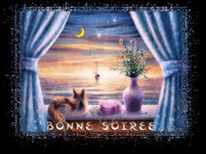 moonlight,transparent,cat,windowsill,bonne sotree
