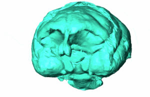 brain,monkey,science goes vaporwave