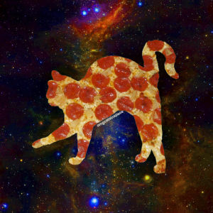 cats in space,omg cats in space,cat,space,pizza,cat in space,omgcatsinspace