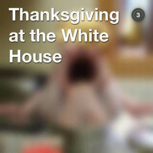 trump,house,white,thanksgiving