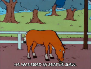 Sex this horse in Essen
