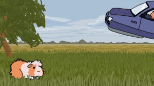 flying car,animation,animals,loop,comedy,wtf,future,flash,2d animation,science fiction,sci fi,futuristic,hover,guinea pigs,rodents,guinea something good,gamegifs