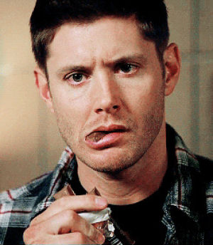 dog dean afternoon,supernatural,adorable,dean winchester,905,no chocolate