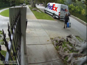 fedex,best,guy,computer,daily,fence,updated,monitor,bin