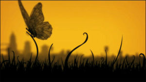 butterfly,yellow,silhouette