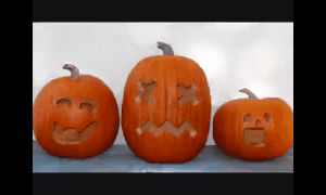 rotting pumpkin,autumn,halloween,fall,pumpkin,jack o lantern,trick or treat,rotten,jack olantern,happy fall,rotting jack o lantern