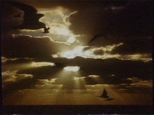 sun,clouds,vhs,submission,birds,cloud,partly cloudy,positive vhs