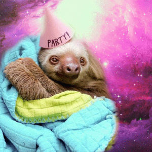 sloth,blanket,trippy,space,party,lazy,sloth in space