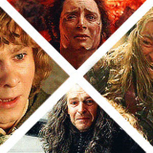 collage,the lord of the rings,emotions,lord of the rings