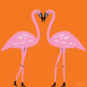 flamingo,dance,dancing,bird,monday,dancer