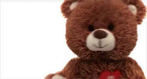 teddy,bear,teddy bear,dancing bear,build a bear,dance,cute,one direction,1d,this is us