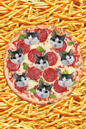 cat,dog,food,pizza,summer,cheese,ho,fries,spring break,junk food,pizza cat,salami