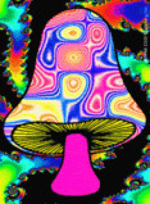 colorful,shroom,trippy,psychedelic,happiness,r,mushroom