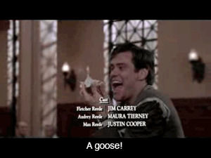 Jim Carrey Liar Liar Big Jugs Gif On Gifer By Whitegrove Jim Carrey Liar Liar Big Jugs Gif On Gifer By Whitegrove