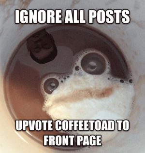 coffee,toad,front page