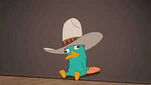 perry the platypus,phineas and ferb,perry,shows,ididthis,phineas ferb,perry the actous