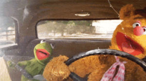 kermit,singing,fun,car,song,muppets