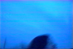 vhs,90s,analog,nineties,the current sea,sarah zucker,tape,thecurrentseala,brian griffith,crt,thecurrentsea,zara ruckus,hi8,camcorder,scan lines,horror,psychedelic,glitch,trippy,surreal,kathy lamkin,com