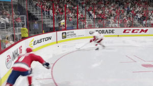 realistic,nhl,video game physics,hit,totally
