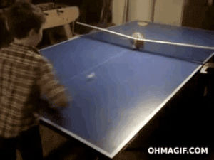 table tennis,pingpong,cat,funny,animals,cute,kid,playing,table,ping pong