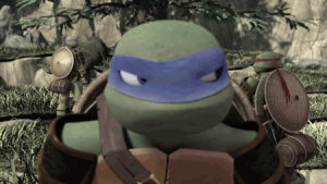 teenage mutant ninja turtles,samurai,tmnt,leonardo,annoyed,eye roll,leo